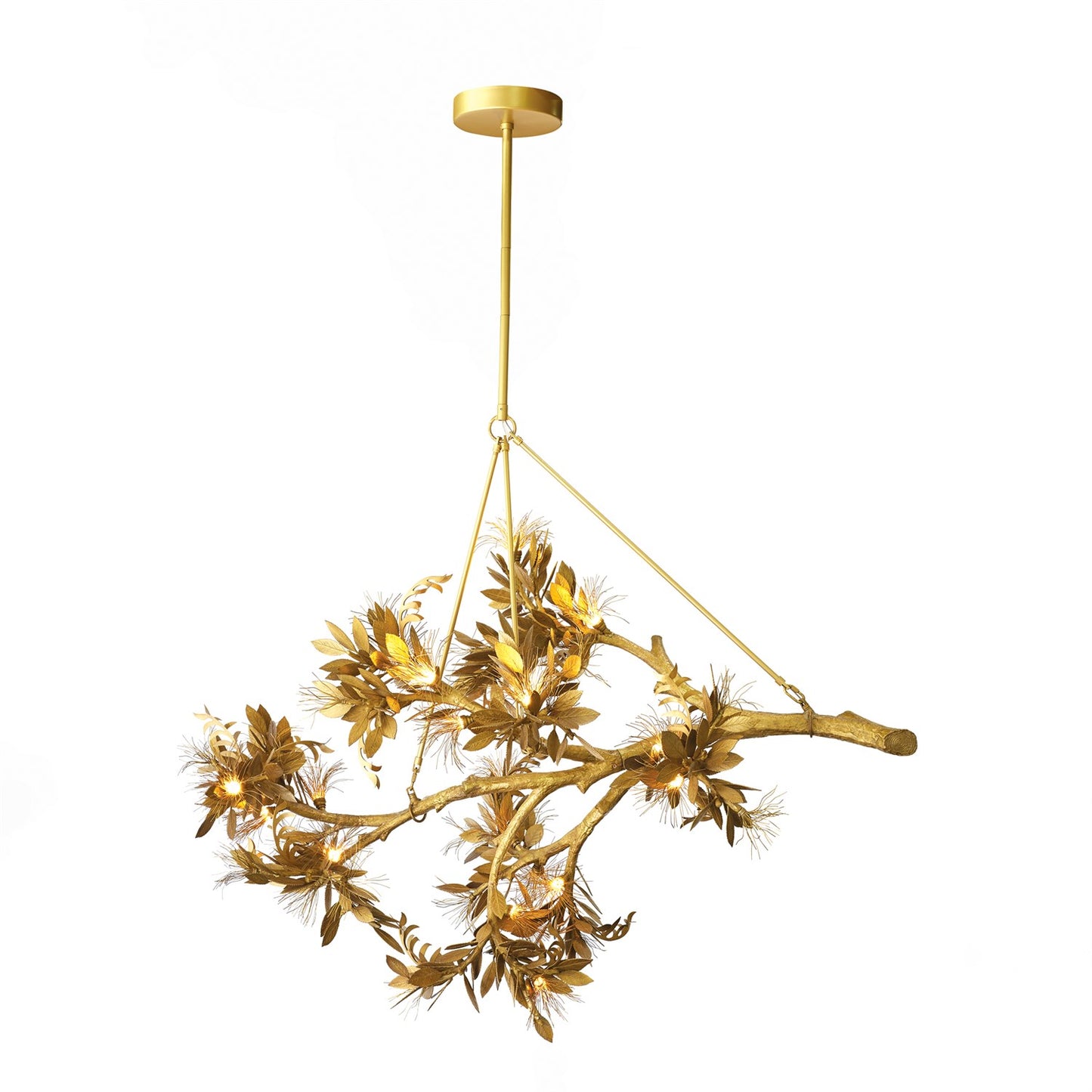 Albizia Chandelier