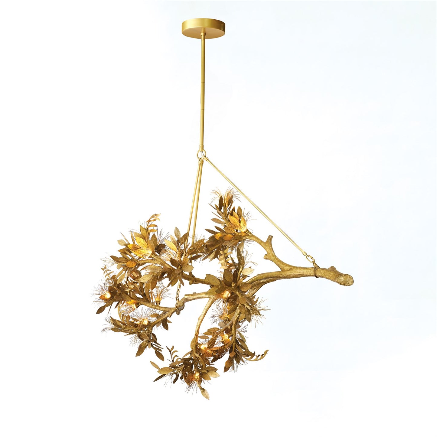 Albizia Chandelier